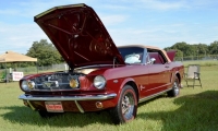 Car Gal 5